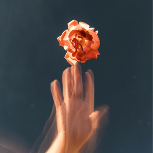 A blurry hand reaching towards a flower